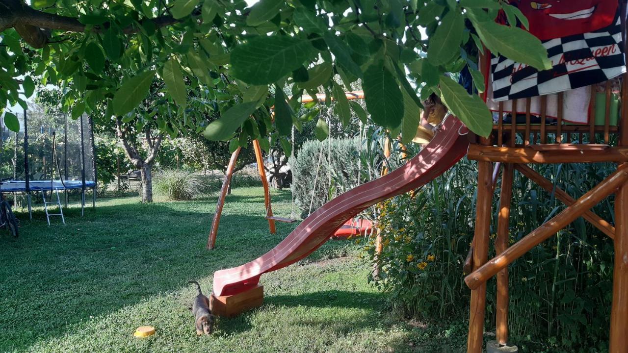Hajnalka Vendeghaz *